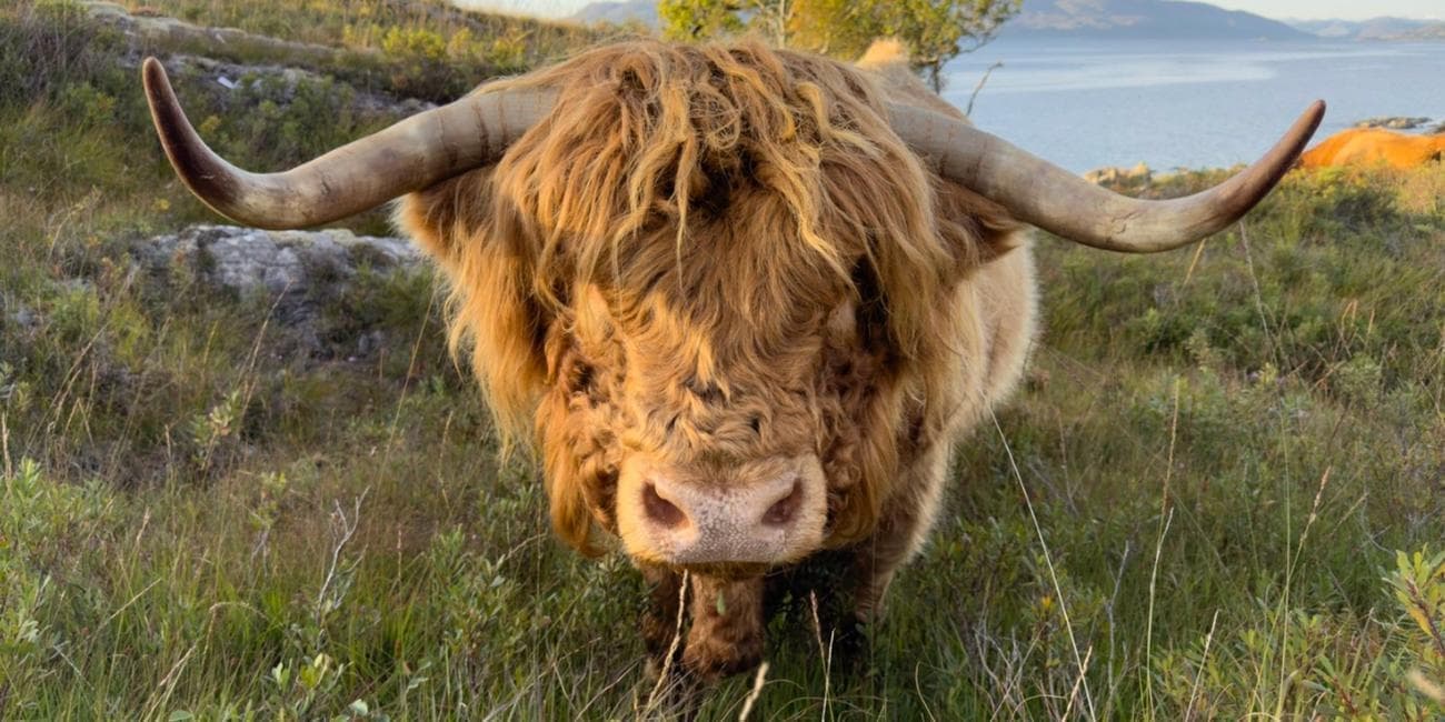 iphone 14 pro camera review 4 - Ο ταξιδιωτικός φωτογράφος Austin Mann δοκιμάζει τη νέα κάμερα 48MP του iPhone 14 Pro