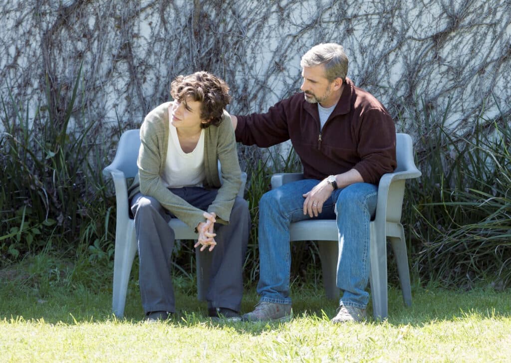 BEAUTIFUL BOY 1 1024x728 - ΕΡΤ2: Οικογενειακές ιστορίες από τον ανεξάρτητο αμερικανικό κινηματογράφο - Digitaltvinfo.gr