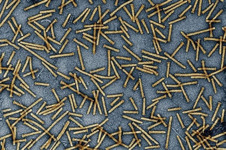 Capture 120 - Εκπληκτική πατέντα για τη χορήγηση θεραπειών