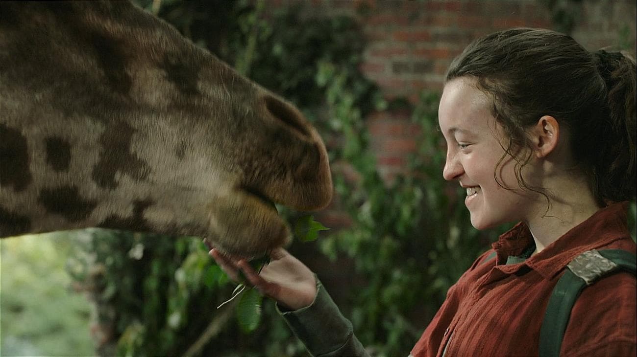 Rfq9sU4 - The Last of Us: Η καμηλοπάρδαλη στο τελευταίο επεισόδιο δεν ήταν CGI! (ΒΙΝΤΕΟ+ΦΩΤΟ)