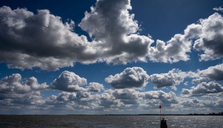 Η Bluesky αρχίζει να αισθάνεται σαν το Twitter