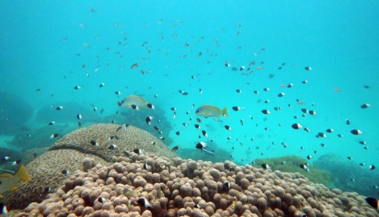Σε συναγερμό οι επιστήμονες μετά από ανεξήγητο επεισόδιο θέρμανσης των ωκεανών