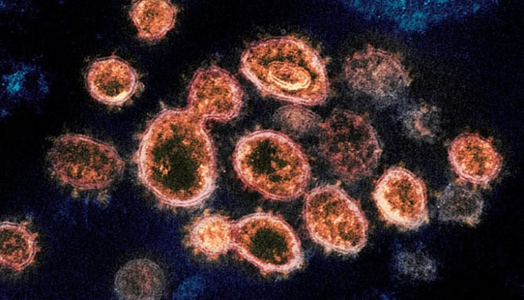 Τι ξέρουμε έως τώρα για την παραλλαγή «Αρκτούρος» – Καθηγητές του ΕΚΠΑ συνοψίζουν