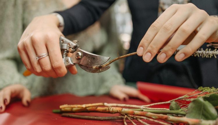 13 χωροκατακτητικά φυτά που πρέπει να τεμαχίσετε
