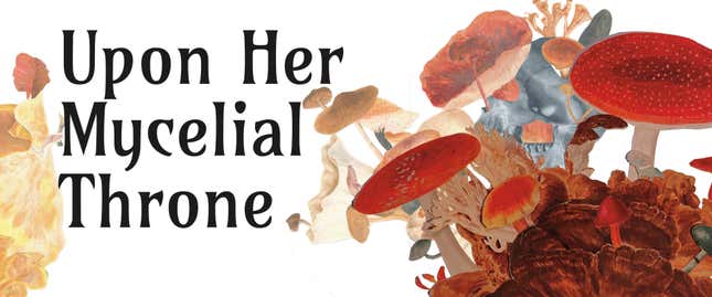 Εικόνα για άρθρο με τίτλο Don Your Aether-Armor With the Gaming Shelf