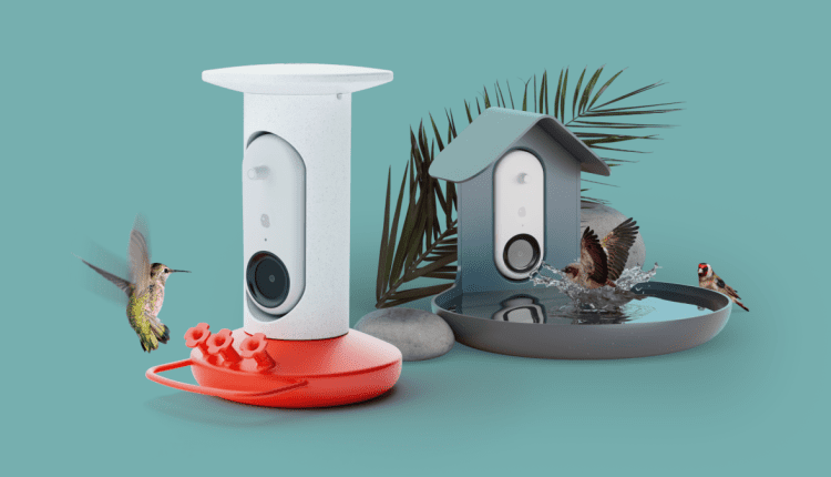 Birdwatching tech startup Bird Buddy introduces an AI-powered Smart Hummingbird Feeder and Bird Bath