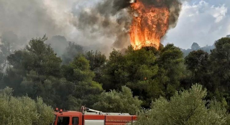 KLIK Magazine | Τεχνητή νοημοσύνη