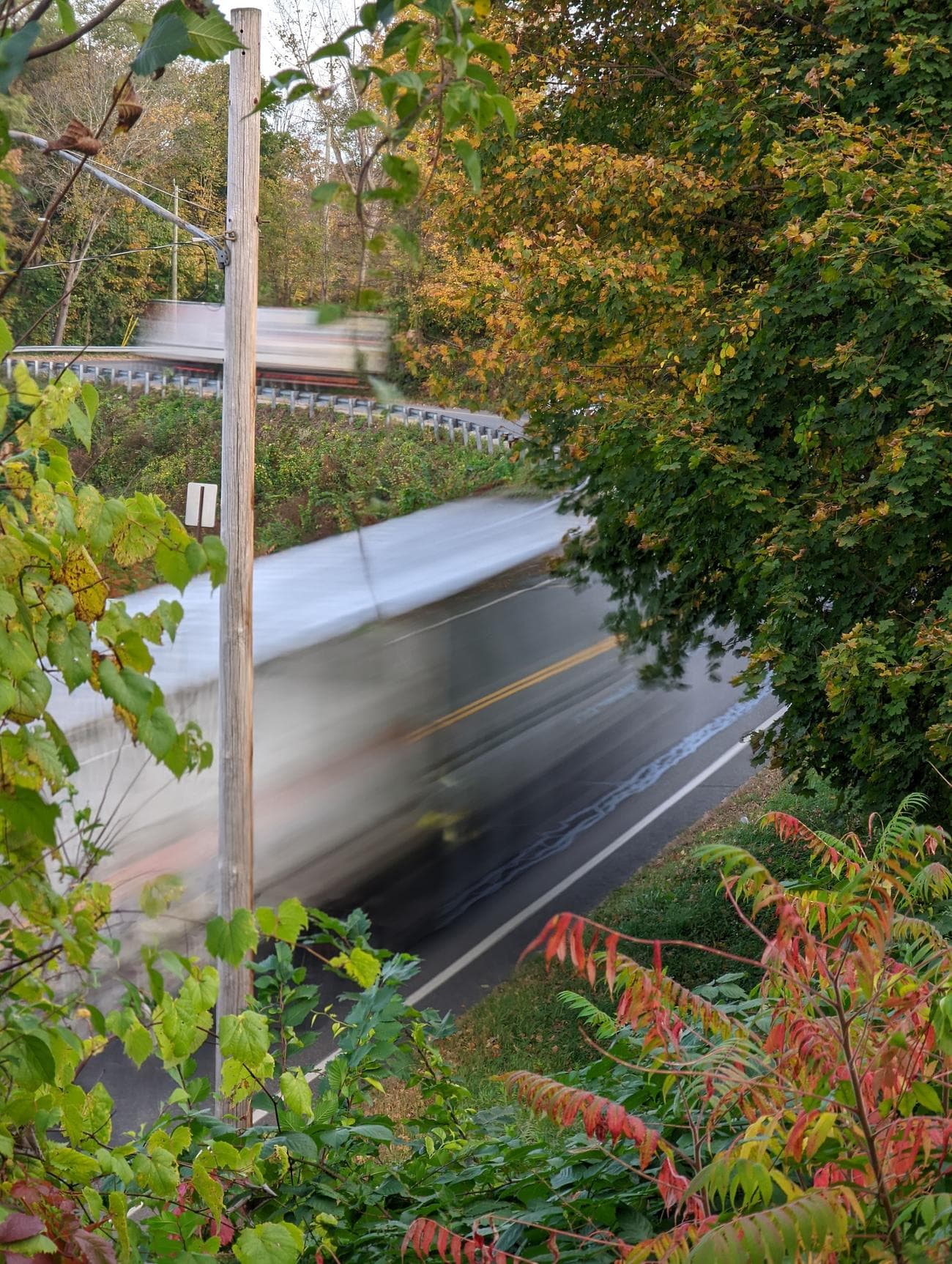 Μια φωτογραφία μακράς έκθεσης ενός δρόμου που τραβήχτηκε μέσα από το φύλλωμα.