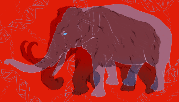 Why a Genome Can't Bring Back an Extinct Animal