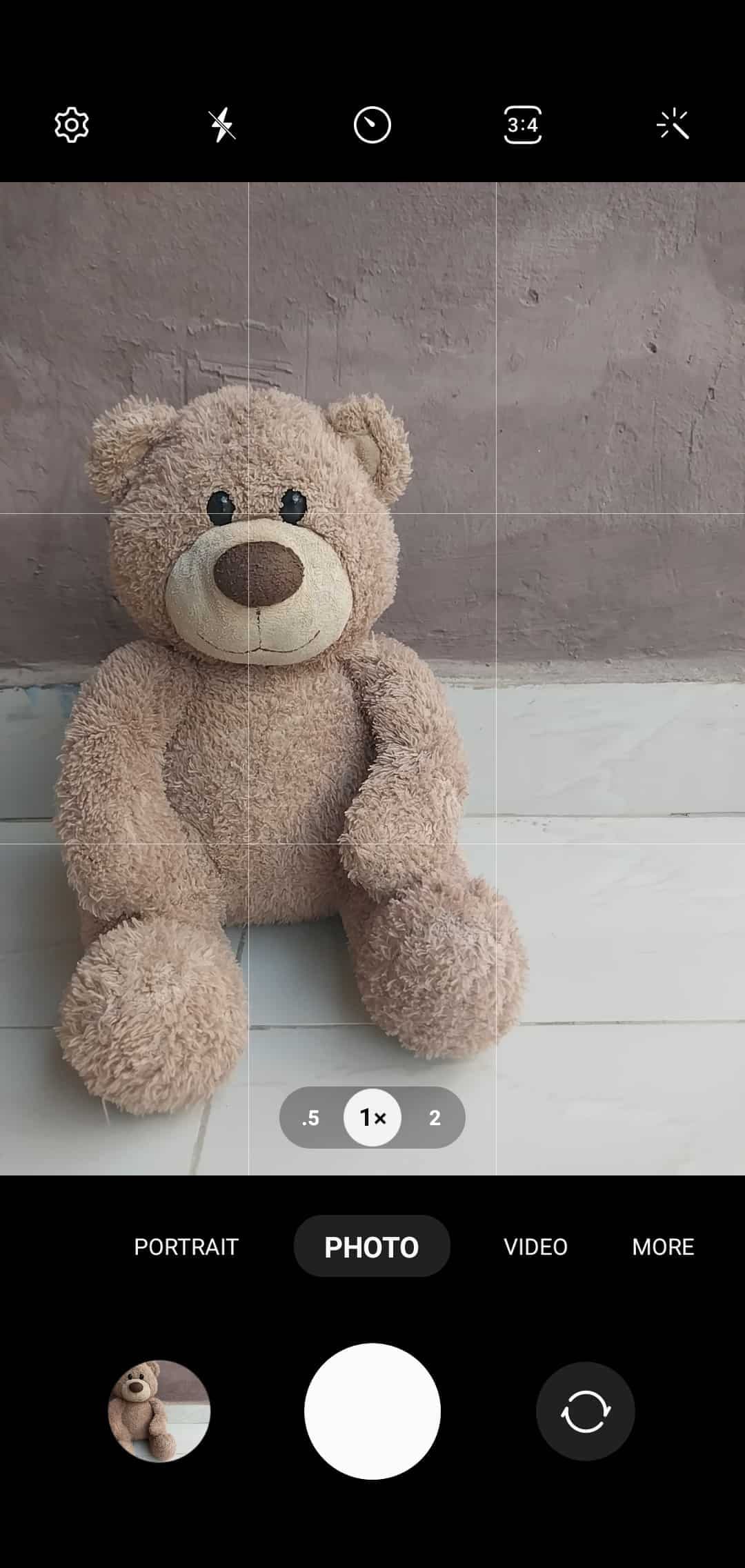 Στιγμιότυπο κάμερας μιας αρκούδας στην αριστερή πλευρά των γραμμών πλέγματος κινητής κάμερας