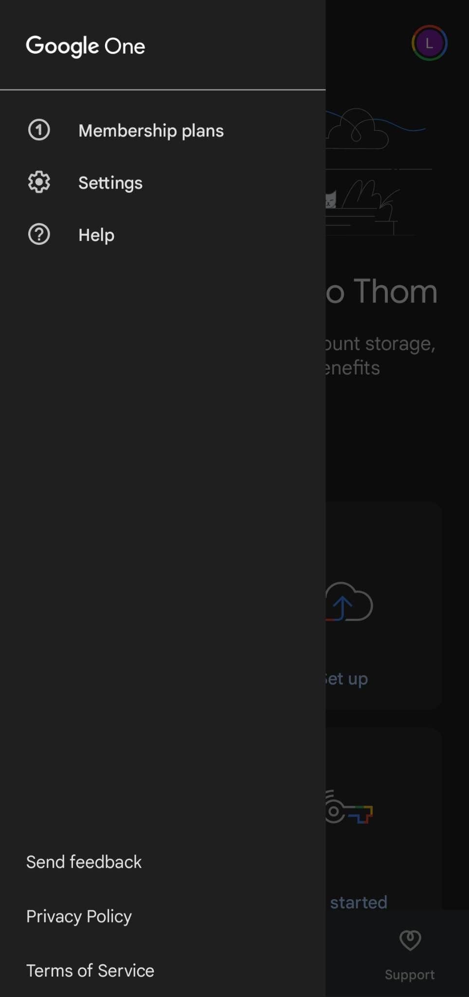 Στιγμιότυπο οθόνης των επιλογών μενού στην εφαρμογή Google One για κινητά.