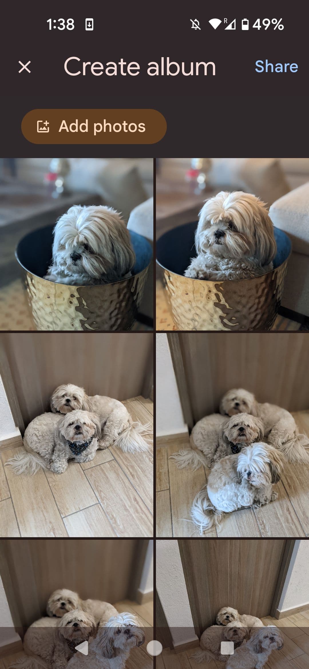 Google Photos Add photos to album page