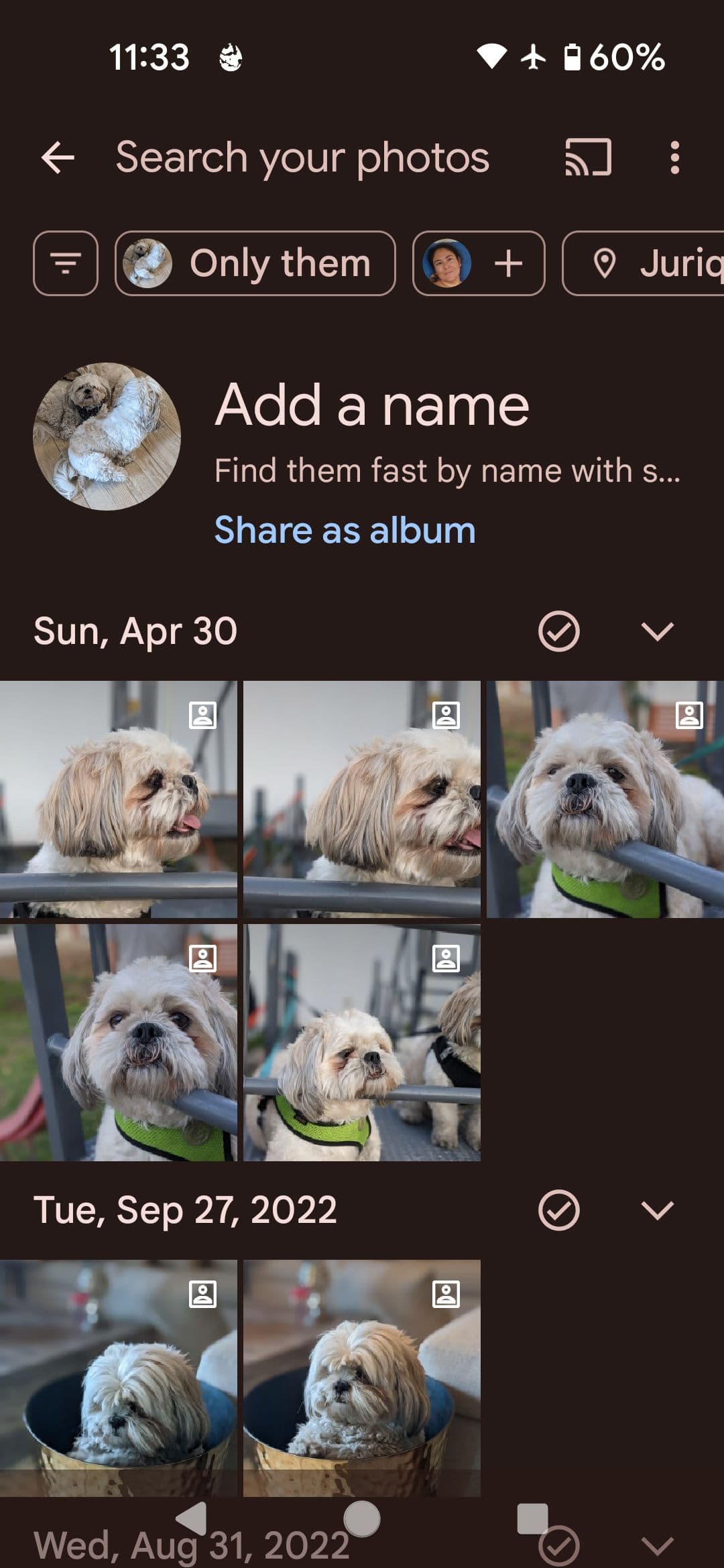 Google Photos viewing all dogs
