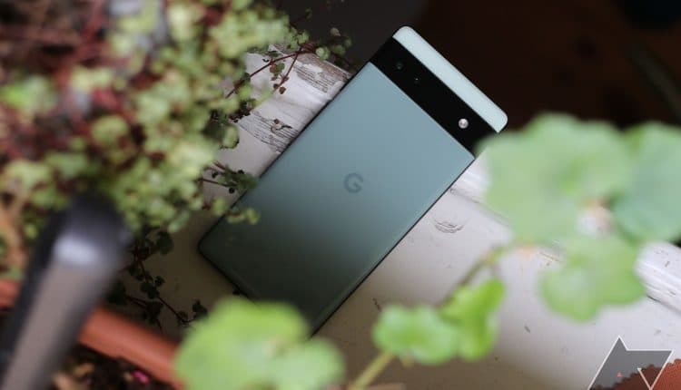 google-pixel-6a-hero-plants