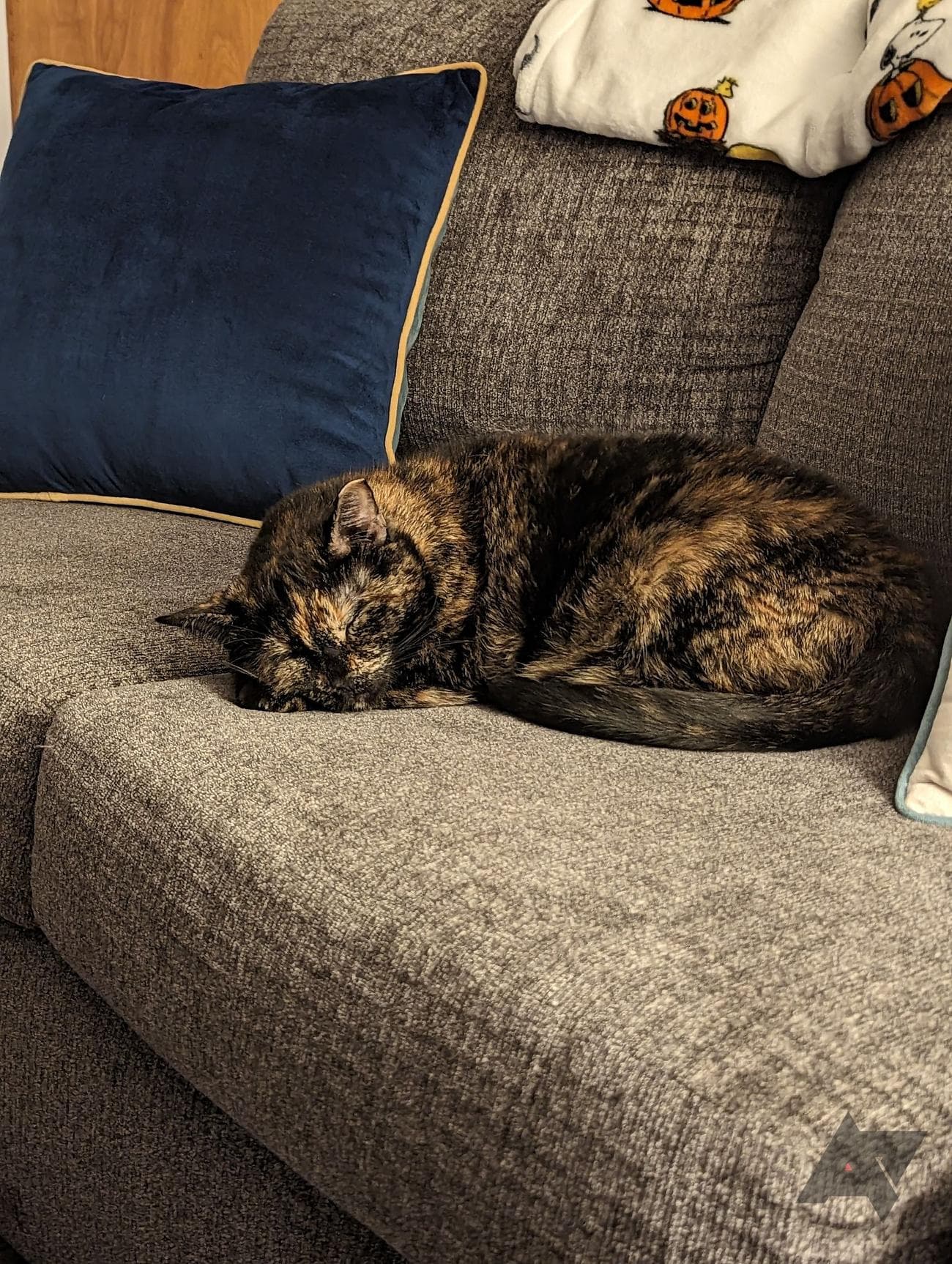 google-pixel-7-pro-camera-sample-2x 3