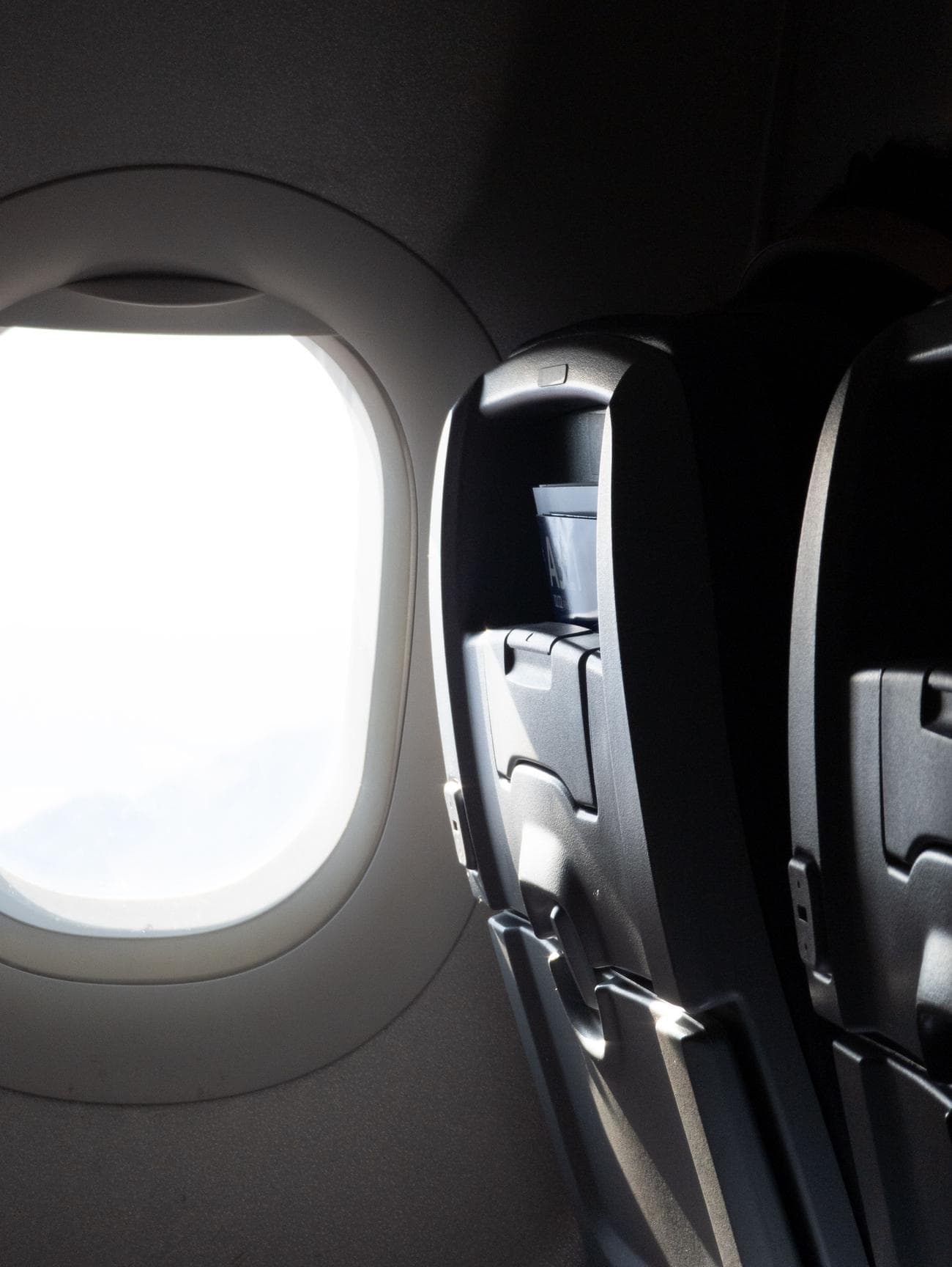 A RAW photo file showing an airplane window and seat.