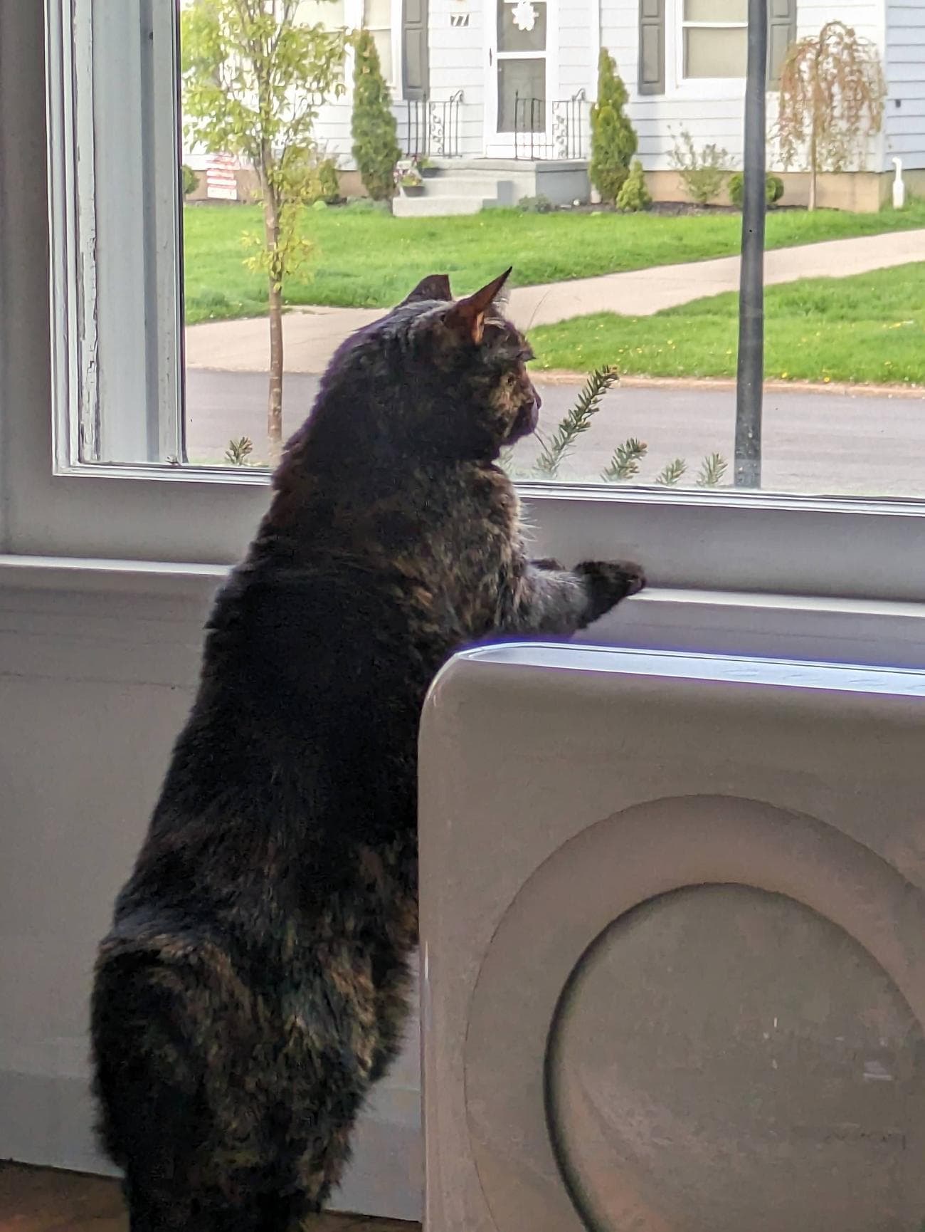 PXL_20230501_232315721-zoom2