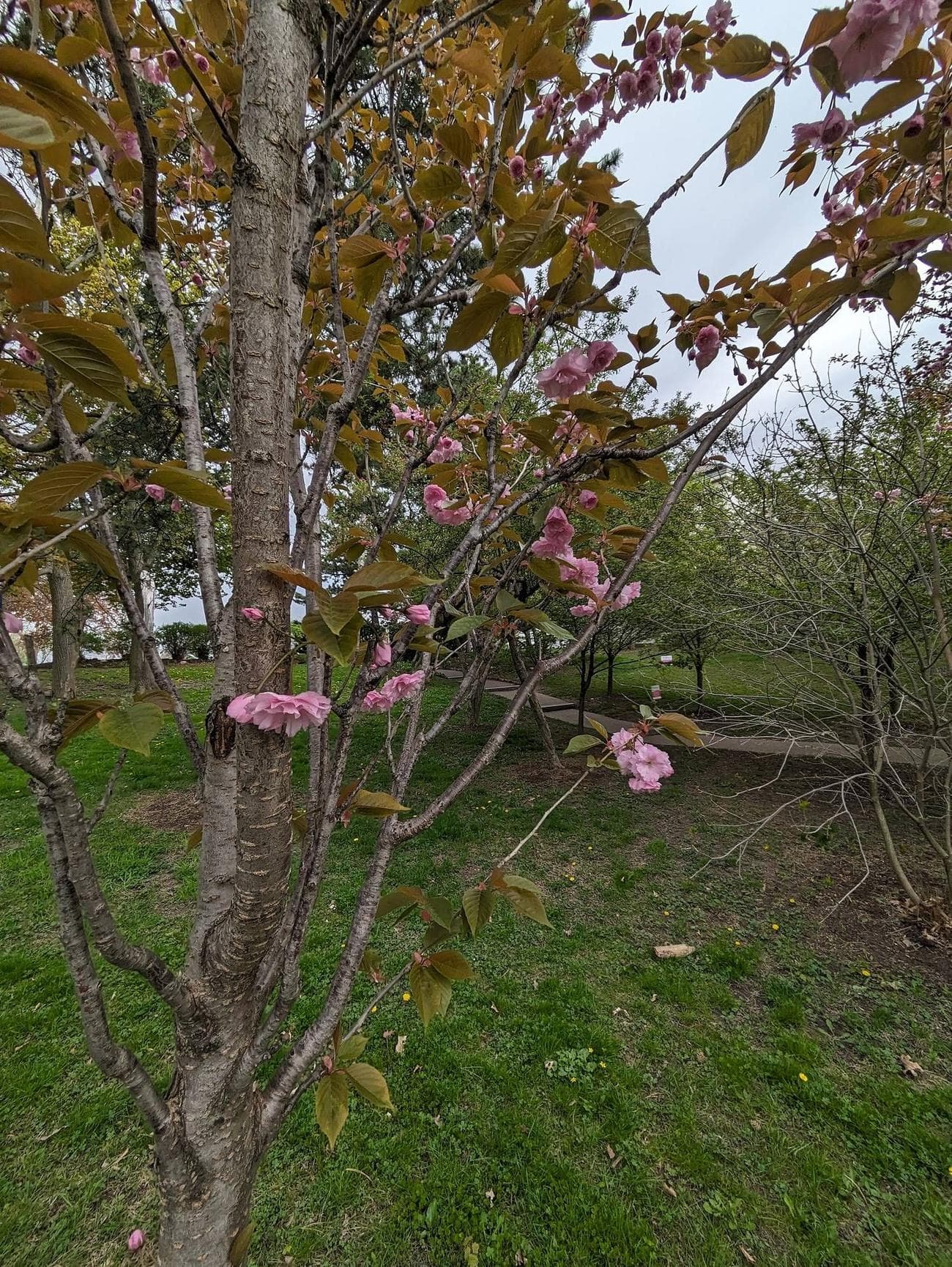 PXL_20230507_165816005