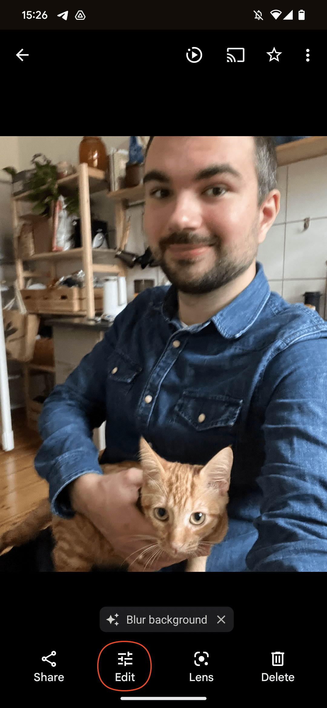 μυστηριώδης Γερμανός άνδρας με μπλε πουκάμισο που κρατά γάτα τζίντζερ