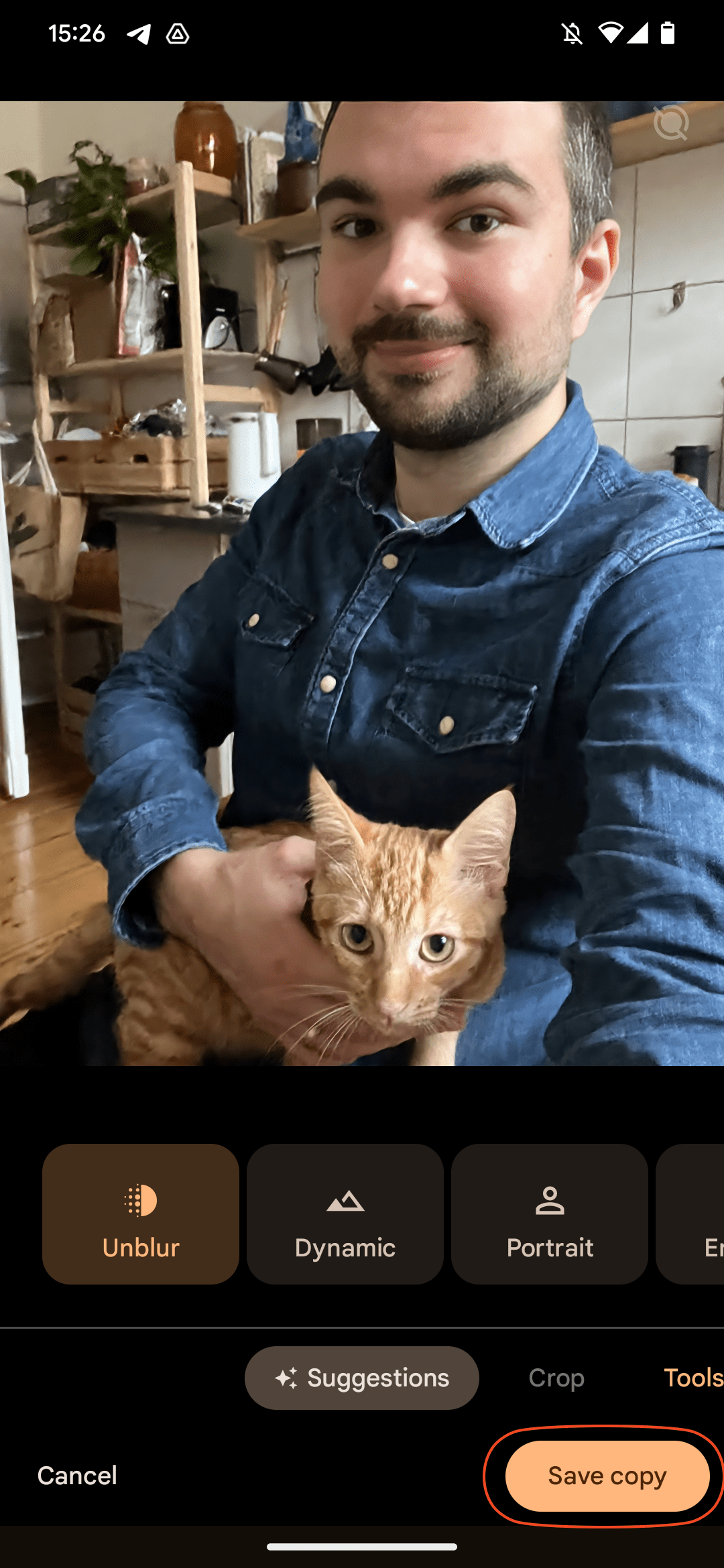 μυστηριώδης Γερμανός άνδρας με μπλε πουκάμισο που κρατά γάτα τζίντζερ