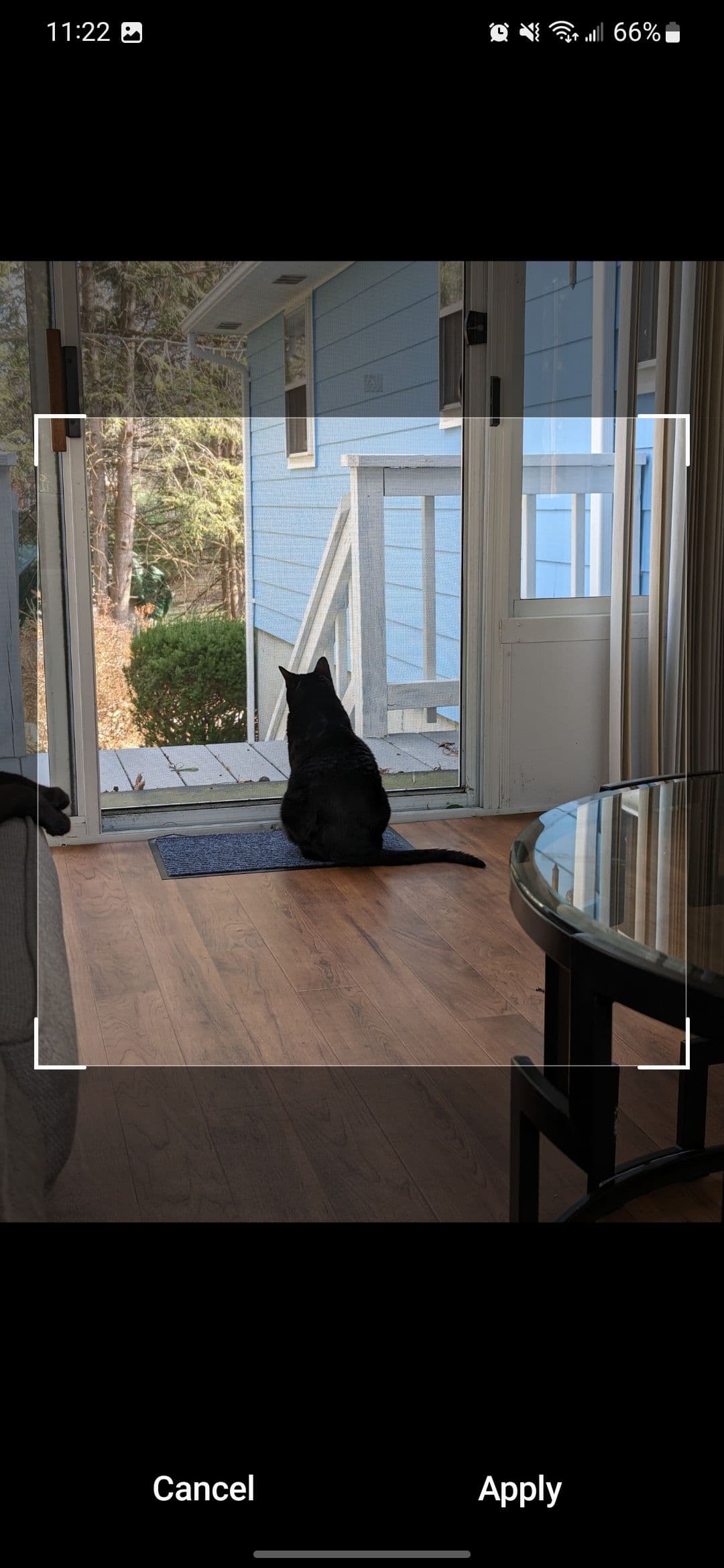 Setting a new album cover in Samsung Gallery