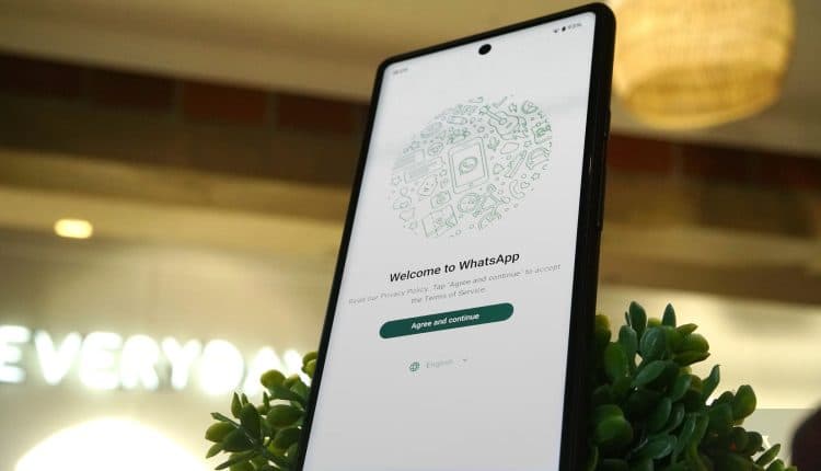 A smartphone standing upright on a white wireless charger with green leaves sprouting from the charger. The phone’s screen displays the WhatsApp welcome screen. The background is blurred and shows a warmly lit room.