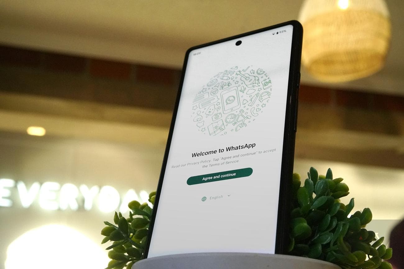 A smartphone standing upright on a white wireless charger with green leaves sprouting from the charger. The phone’s screen displays the WhatsApp welcome screen. The background is blurred and shows a warmly lit room.