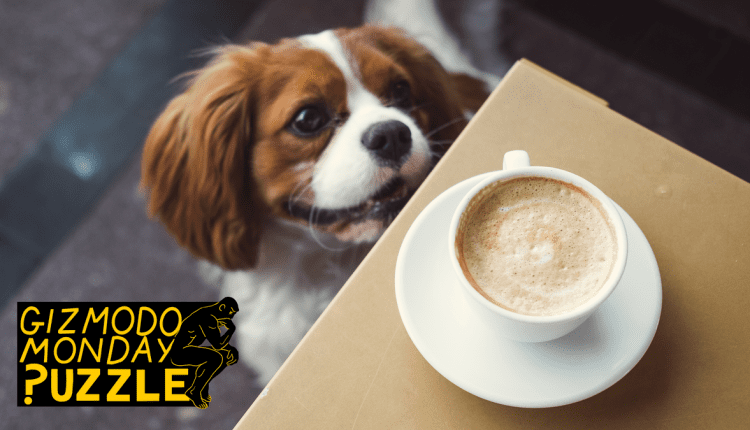 Έπινες λάθος τον καφέ σου
