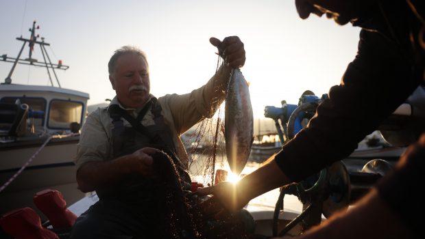 Αλιεία: Η Γιορτή του Ψαρά συναντά το ΑΜΟΡΓΟΡΑΜΑ, 9 και Αλιεία: Η Γιορτή του Ψαρά συναντά το ΑΜΟΡΓΟΡΑΜΑ, 9 και 10 Ιουνίου - «Για να μπορούν τα εγγόνια μας να έχουν ψάρια να φάνε»