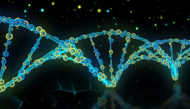 Μπορεί η γήρανση να αναστραφεί; Πείραμα κατέγραψε μείωση της βιολογικής ηλικίας