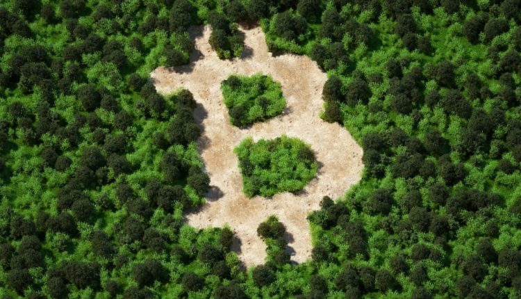 Ρίξτε μια ματιά στην πρώτη ομάδα startups του Wolf που βασίζονται σε Bitcoin
