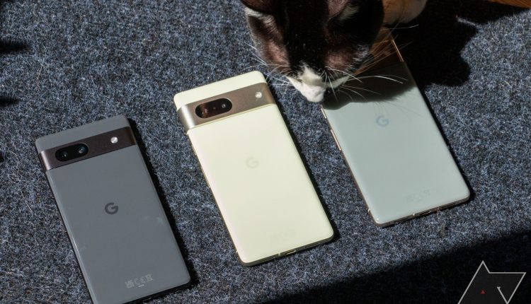 Three Google Pixel 7 series phones next to each other with a cat smelling one of them