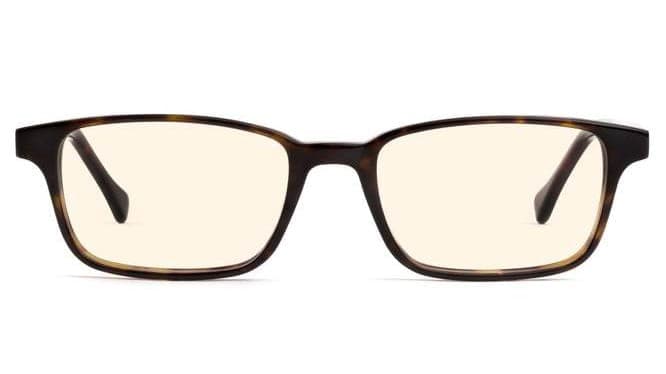 Γυαλιά που μπλοκάρουν το μπλε φως Felix Grey