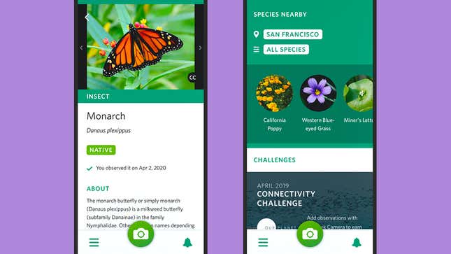 Εικόνα για άρθρο με τίτλο Οι καλύτερες εφαρμογές για να αναβαθμίσετε το καλοκαιρινό σας οδικό ταξίδι
