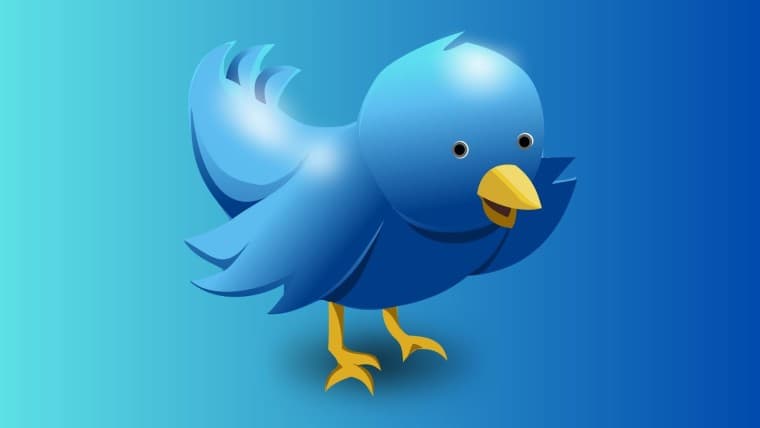 Image of the Twitter Bird