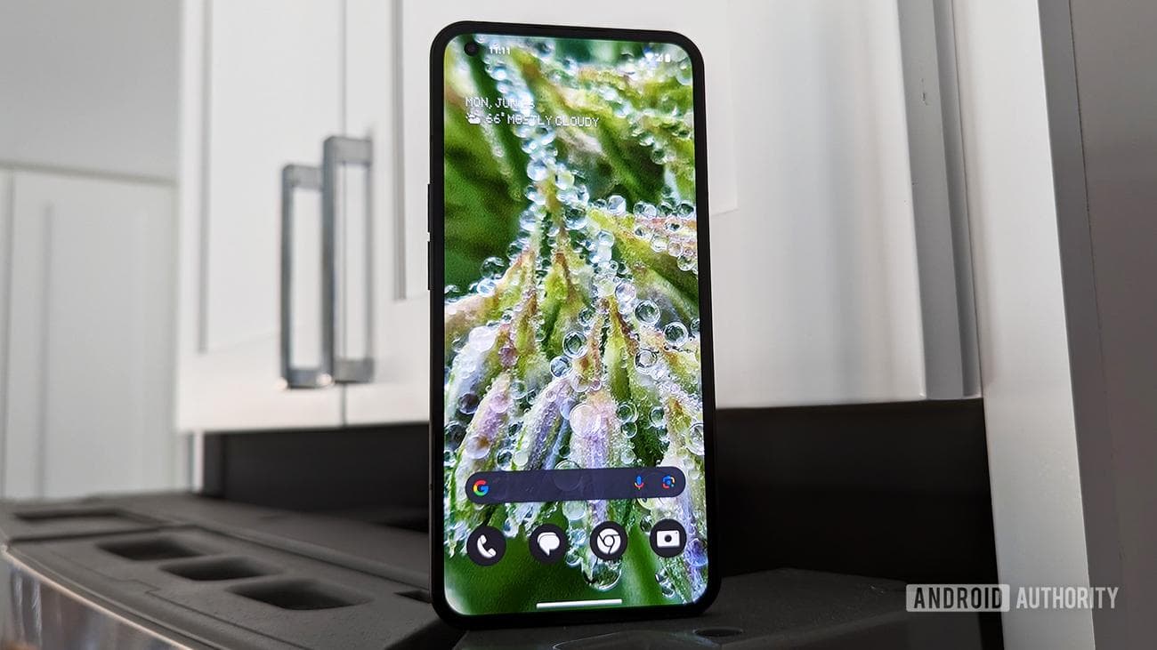 Wallpaper Wednesdays 2023 06 28