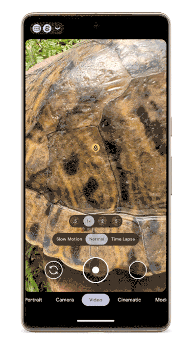 Animation showing macro video in action on a turtle's back on a Pixel 7 Pro
