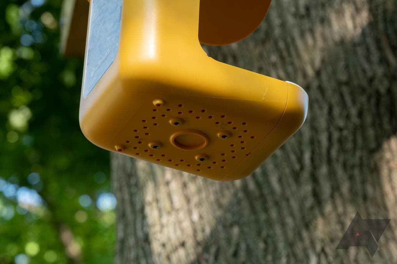 bird-buddy-smart-bird-feeder-bottom