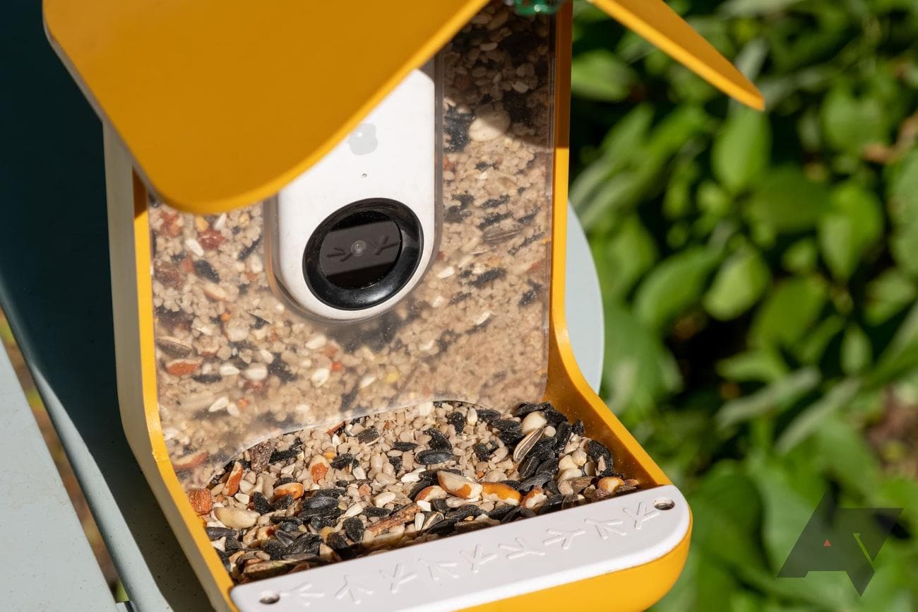 bird-buddy-smart-bird-feeder-seed-tray