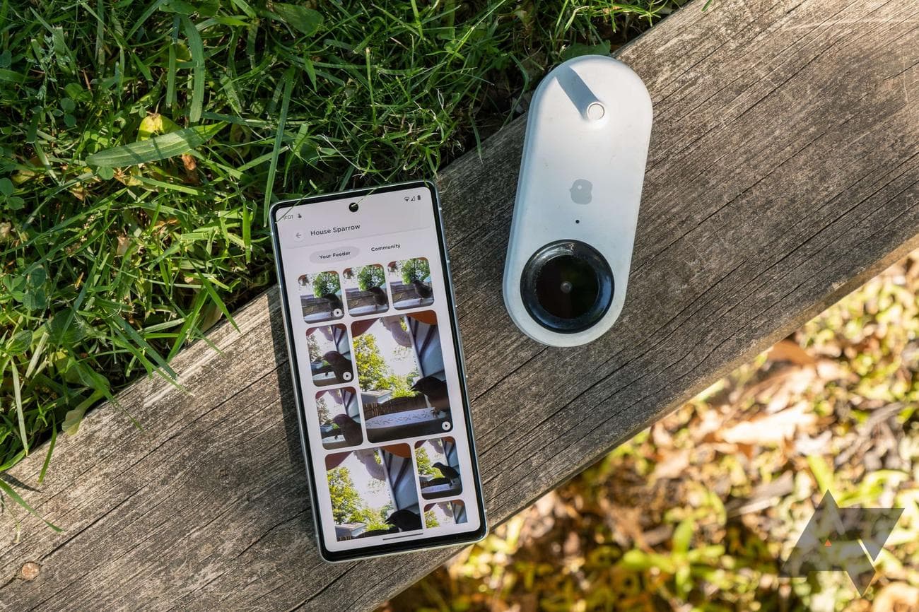 bird-buddy-smart-bird-feeder-with-app