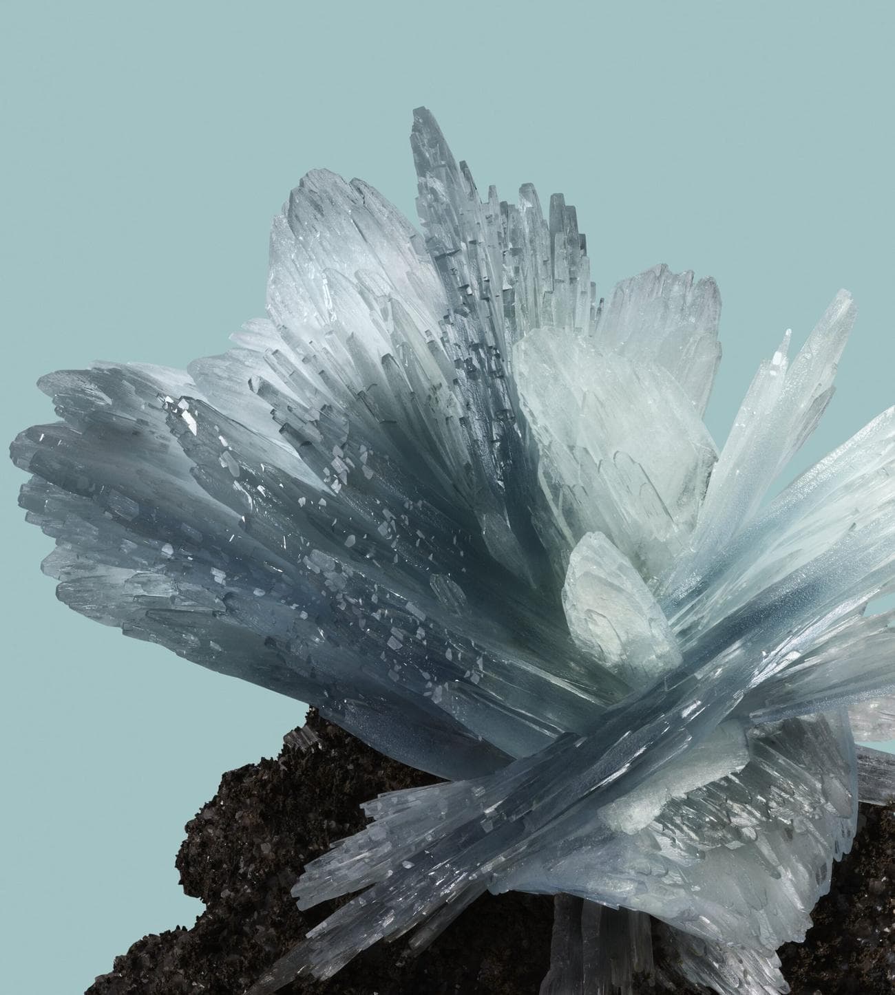 google pixel 8 ταπετσαρία jade light