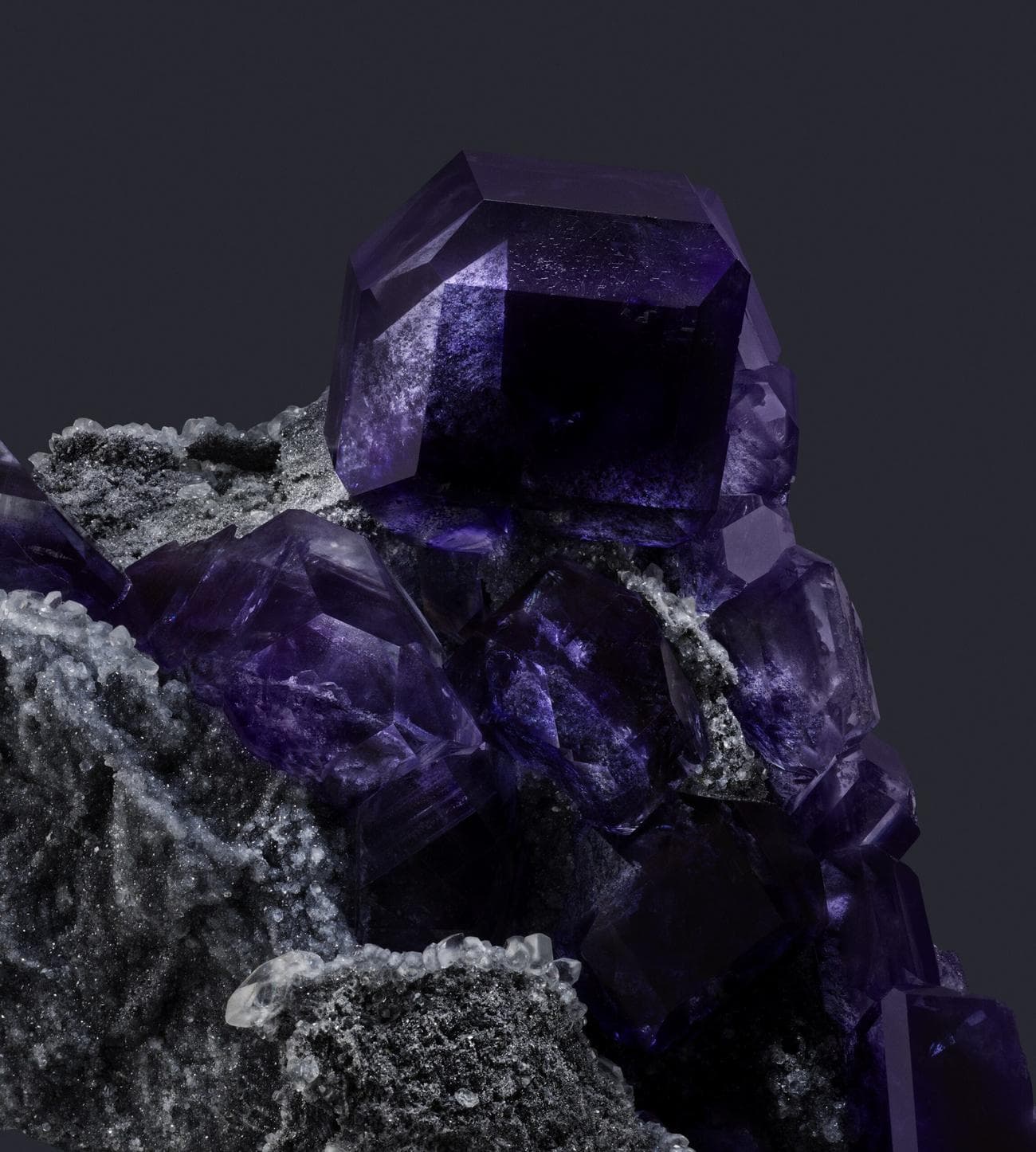 ταπετσαρία google pixel 8 γλυκόριζα σκούρα