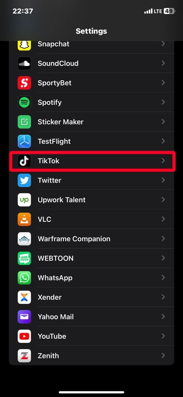 Selecting TikTok from the iOS Settings menu