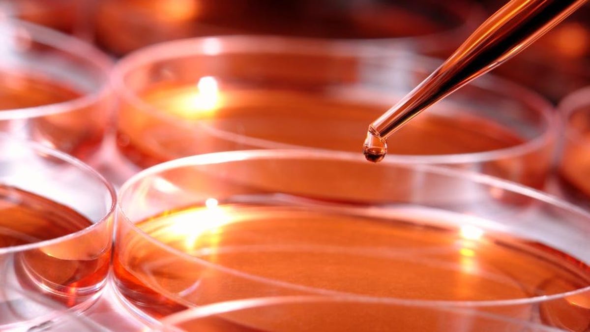 Επιστάτης κατέστρεψε κατά λάθος 20 χρόνια επιστημονικής έρευνας ενώ προσπαθούσε να σταματήσει τους «ενοχλητικούς συναγερμούς»
