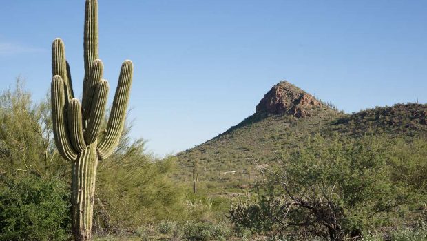 Νερό στην έρημο; Νέο υλικό του ΜΙΤ κάνει το θαύμα