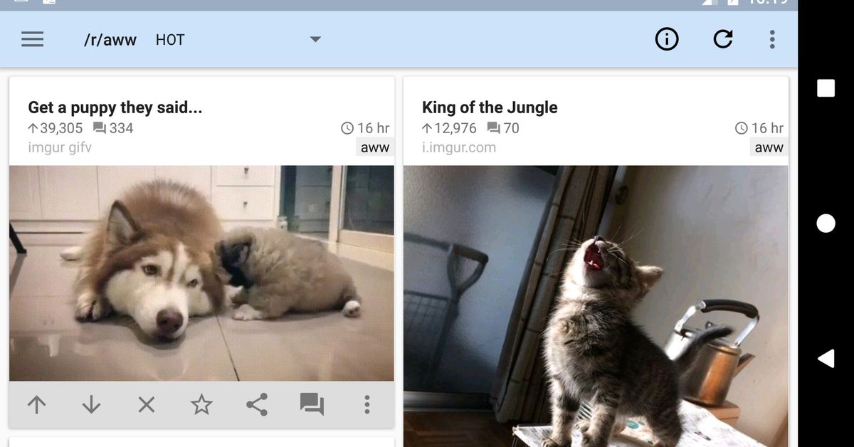 Ο προγραμματιστής του RIF αντικρούει τους ισχυρισμούς του CEO του Reddit ότι δεν ήθελε να συνεργαστεί με το Reddit
