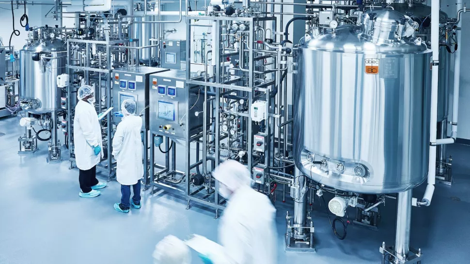 Στις ΗΠΑ πωλείται πλέον ελεύθερα κρέας χωρίς σφαγή: Εγκρίθηκε το κοτόπουλο από εργαστήριο, έρχονται και οι… μπριζόλες