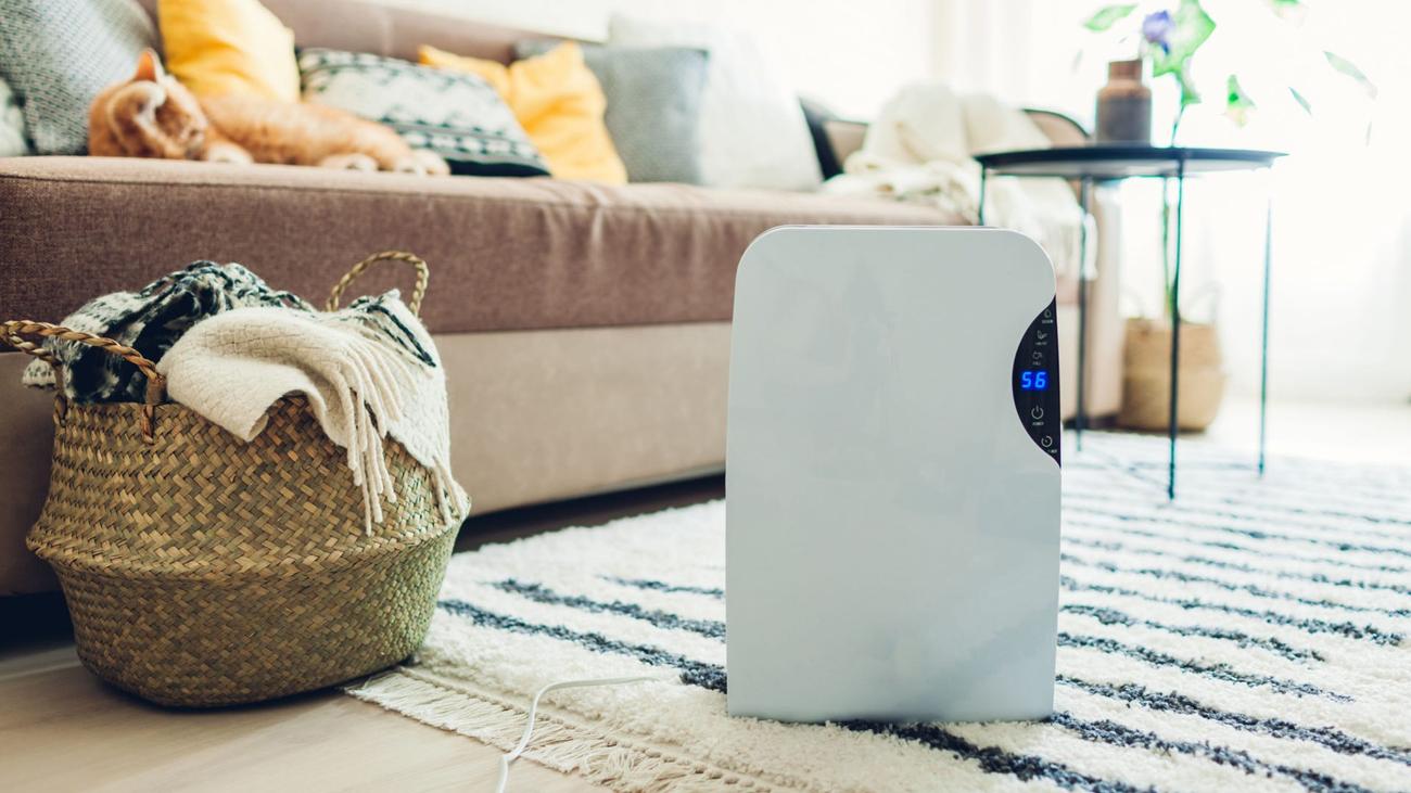  Χρειάζεται το σπίτι σας αφυγραντήρα;  – LifeSavvy
