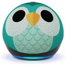 Amazon Echo Dot Kids