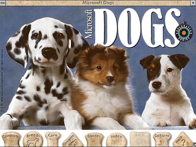 Microsoft Dogs